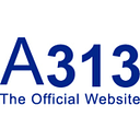 A313